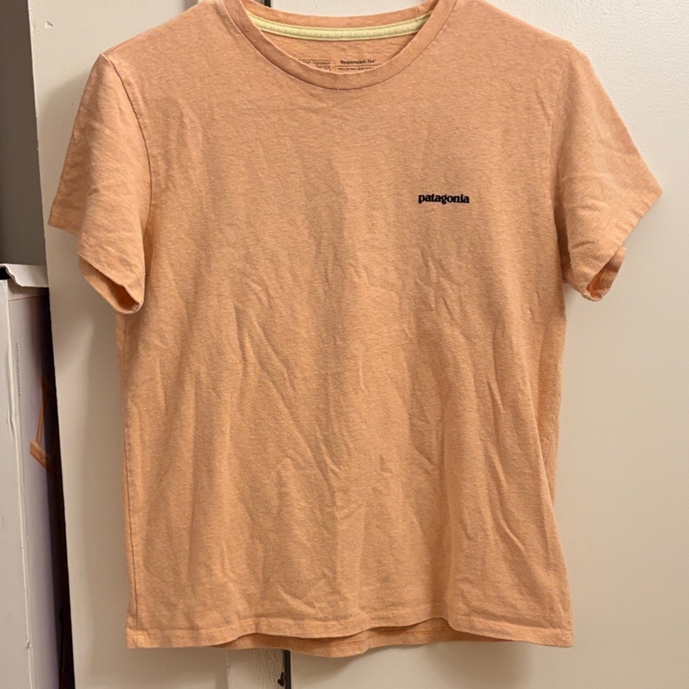 Patagonia T-Shirt